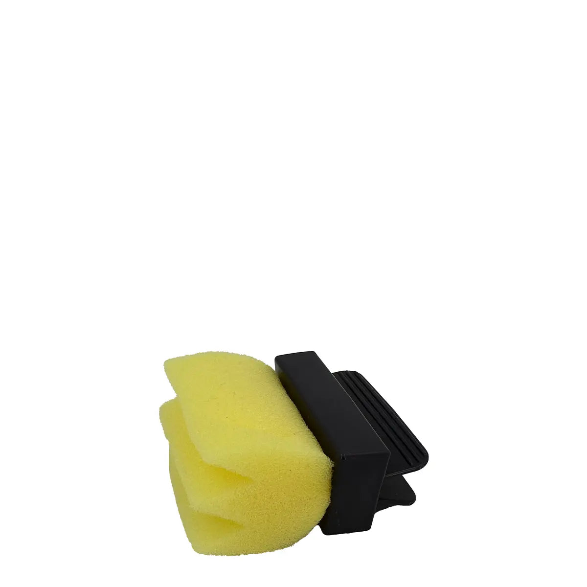 Sponges Set